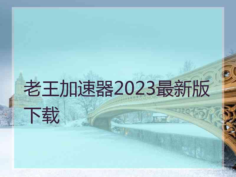 老王加速器2023最新版下载