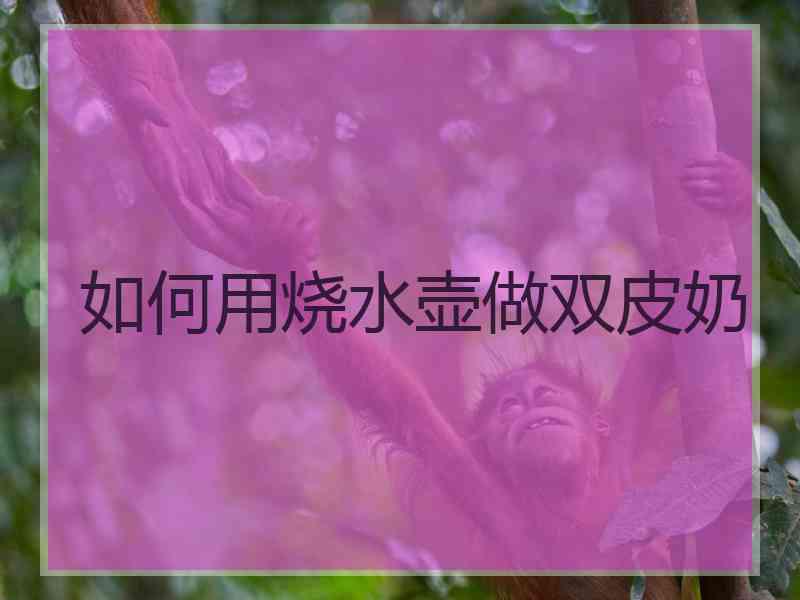 如何用烧水壶做双皮奶