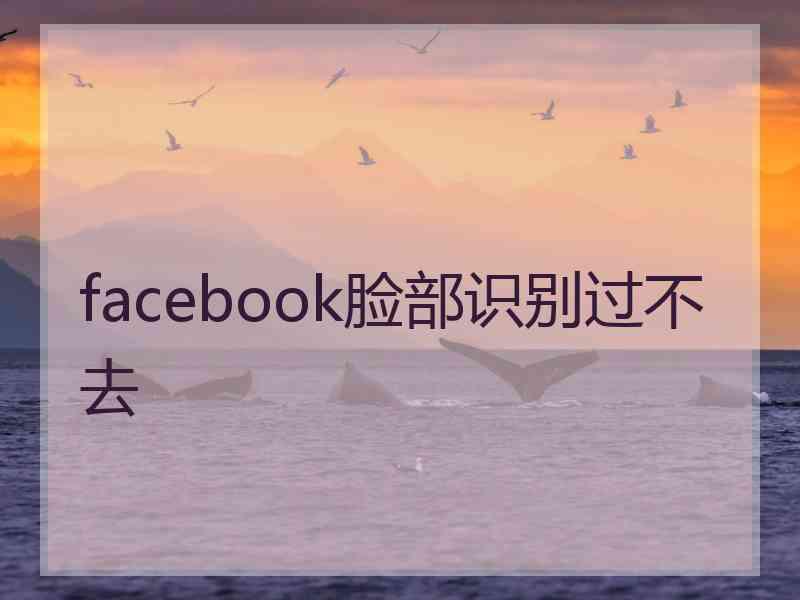 facebook脸部识别过不去