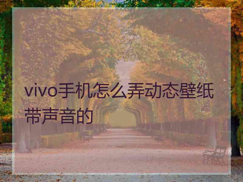 vivo手机怎么弄动态壁纸带声音的