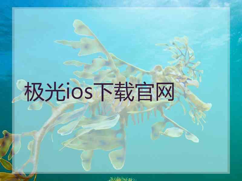 极光ios下载官网