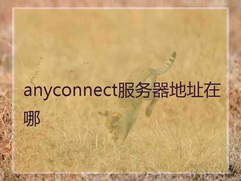 anyconnect服务器地址在哪