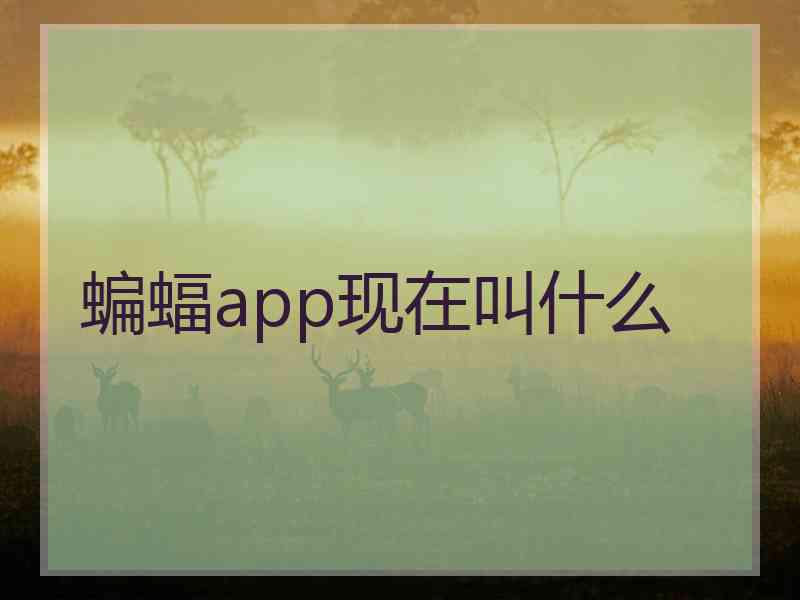 蝙蝠app现在叫什么