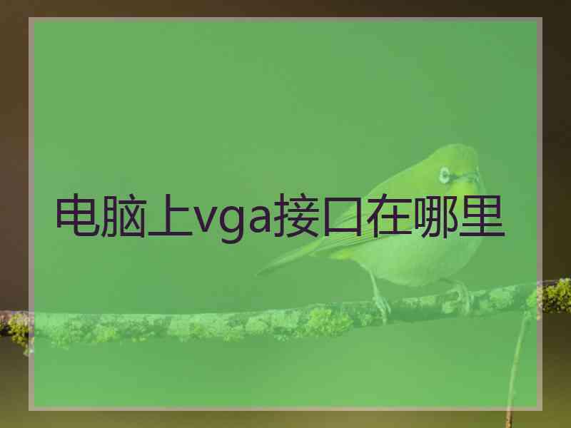 电脑上vga接口在哪里