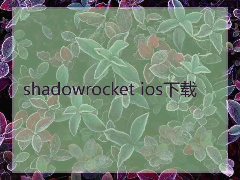 shadowrocket ios下载