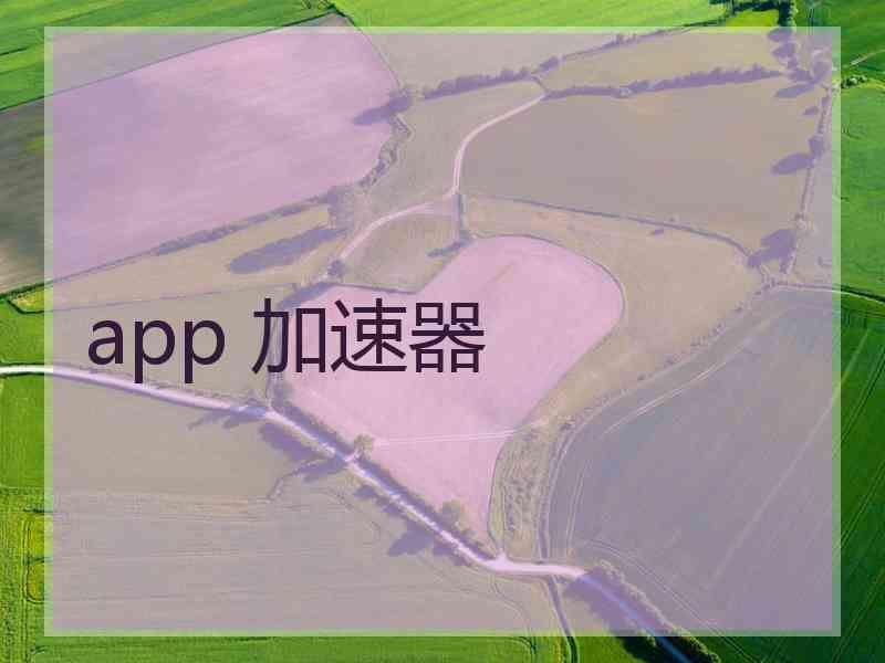 app 加速器