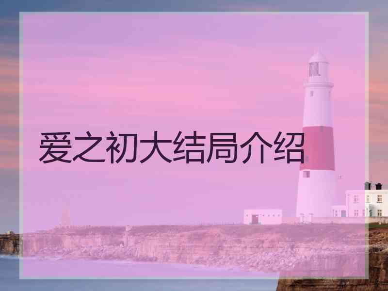 爱之初大结局介绍