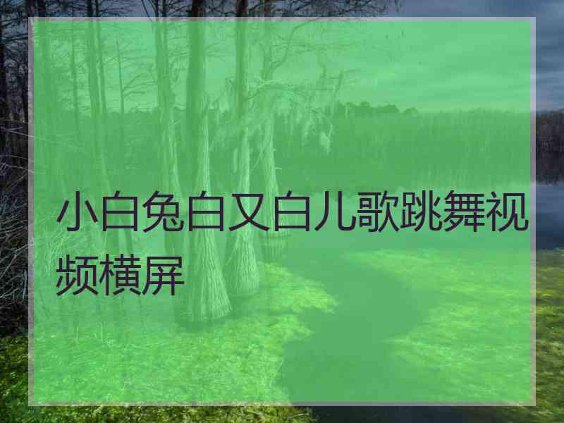 小白兔白又白儿歌跳舞视频横屏