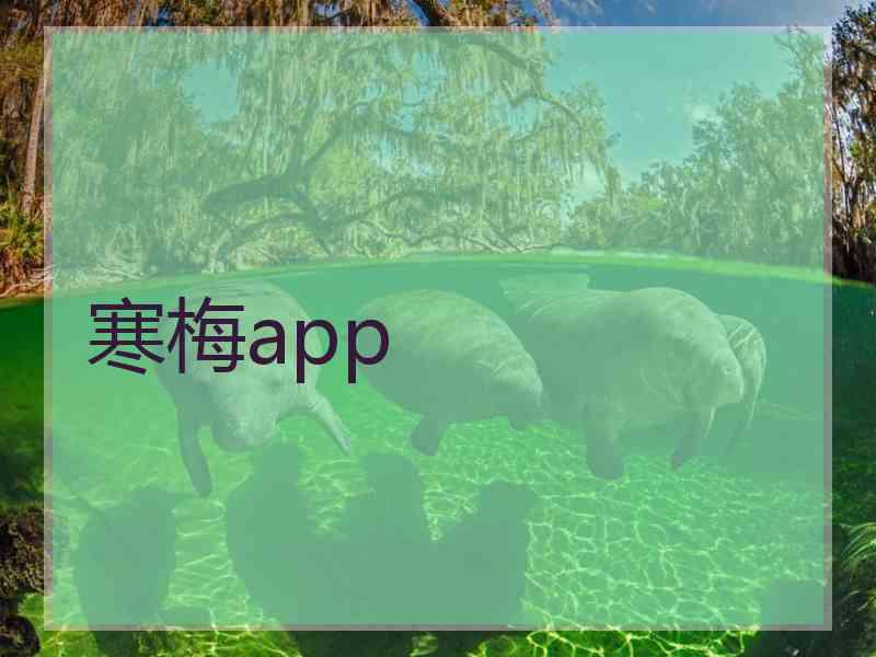 寒梅app