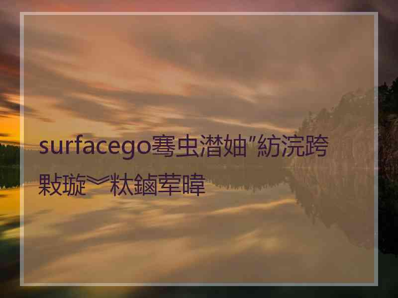 surfacego骞虫澘妯″紡浣跨敤璇︾粏鏀荤暐