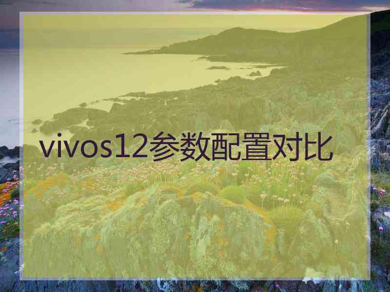 vivos12参数配置对比