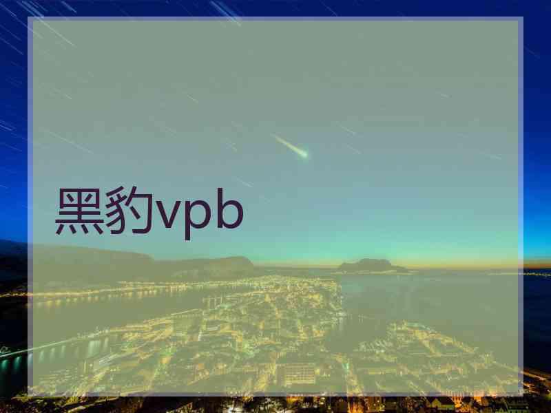 黑豹vpb