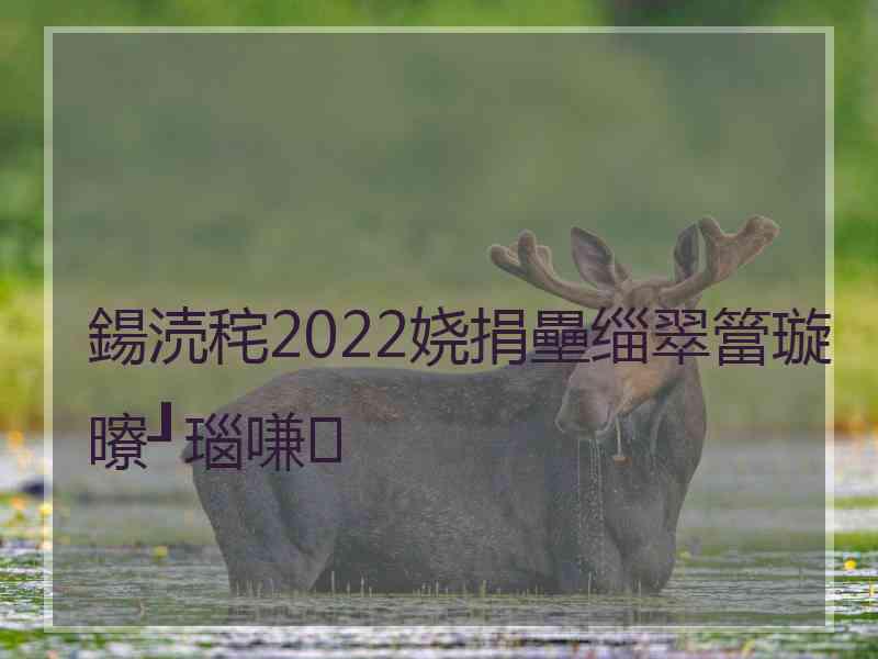 鍚涜秺2022娆捐壘缁翠簹璇曢┚瑙嗛