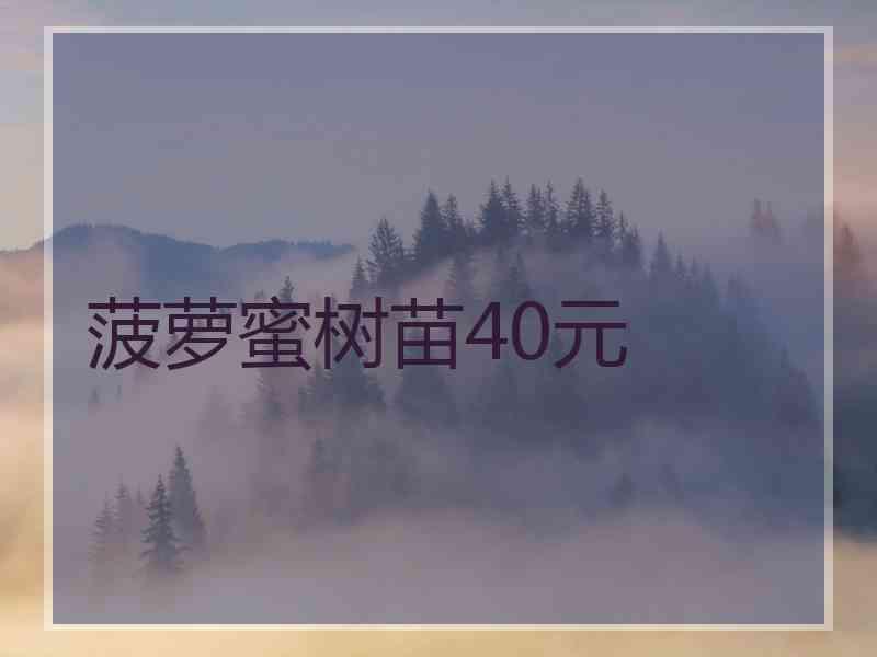 菠萝蜜树苗40元