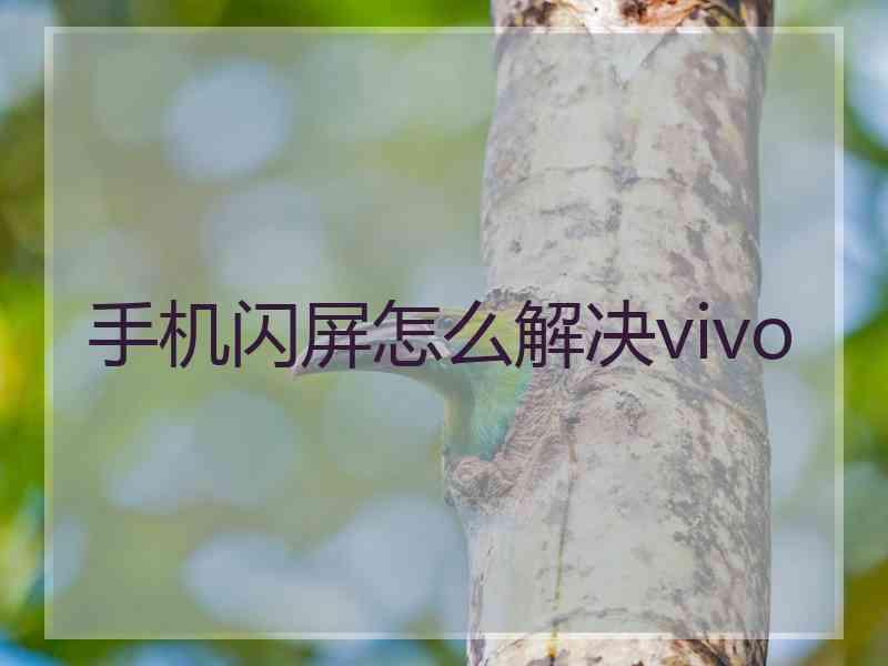 手机闪屏怎么解决vivo