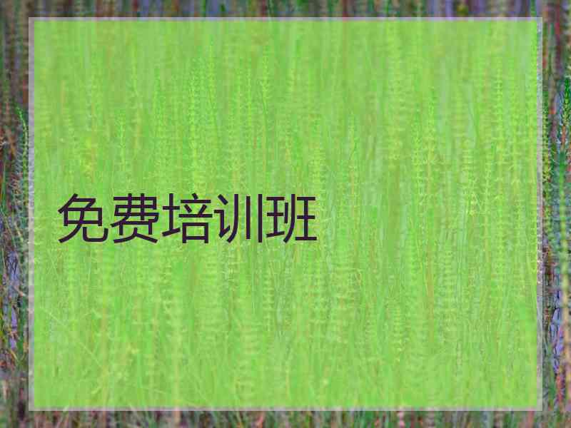 免费培训班