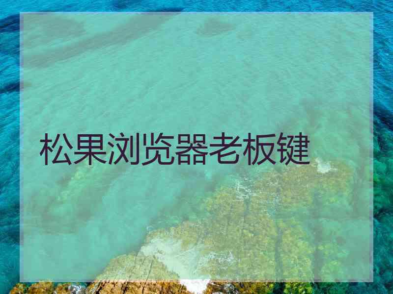 松果浏览器老板键