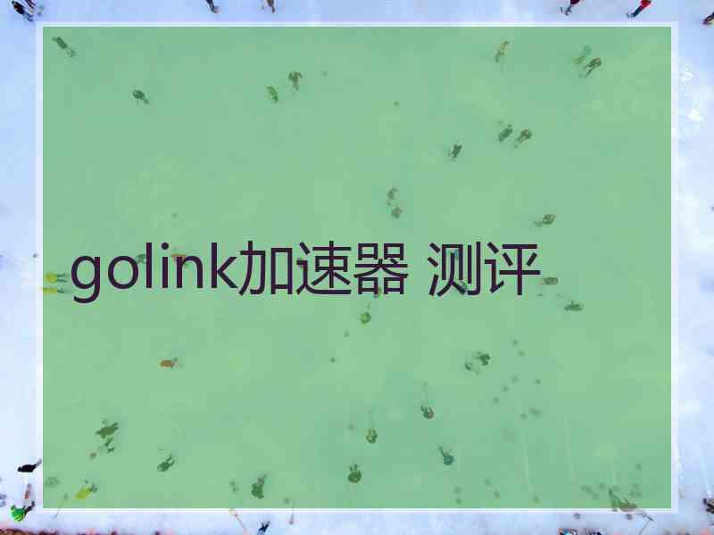 golink加速器 测评