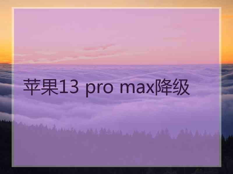 苹果13 pro max降级