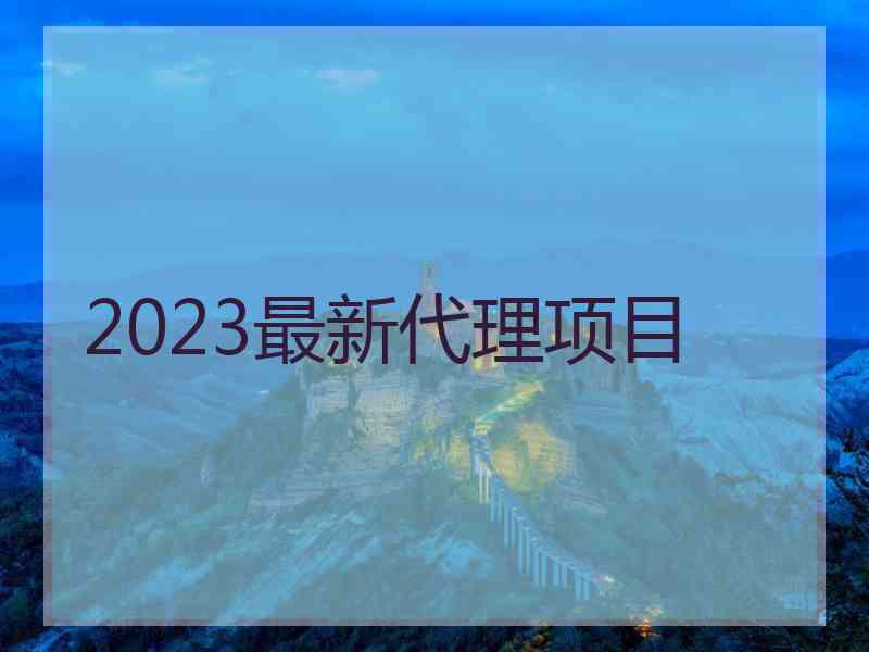 2023最新代理项目