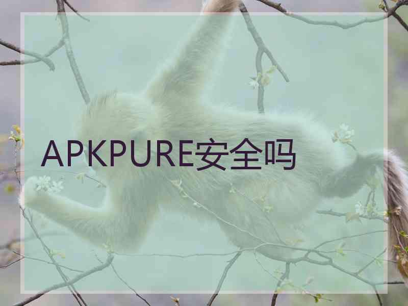 APKPURE安全吗