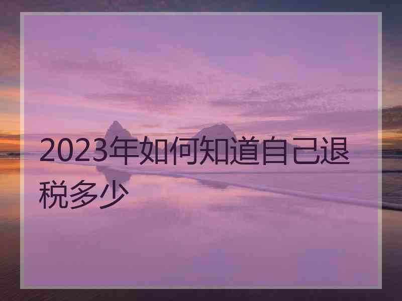 2023年如何知道自己退税多少