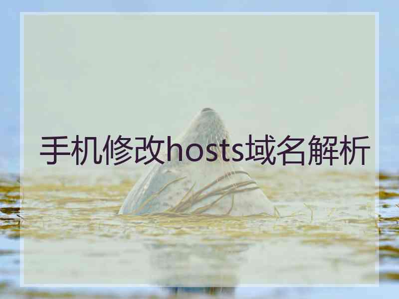 手机修改hosts域名解析