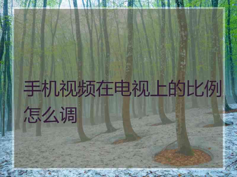 手机视频在电视上的比例怎么调