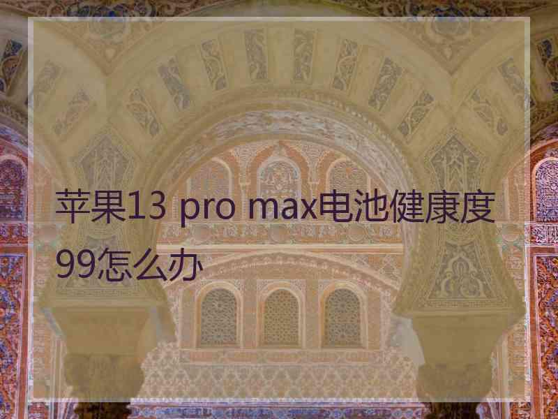 苹果13 pro max电池健康度99怎么办