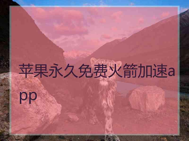 苹果永久免费火箭加速app