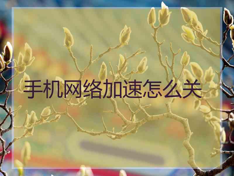 手机网络加速怎么关