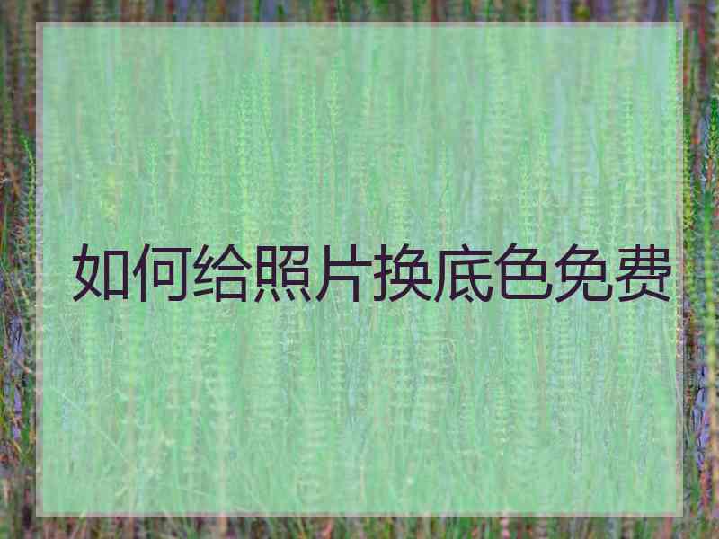 如何给照片换底色免费