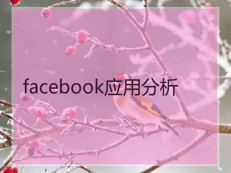 facebook应用分析