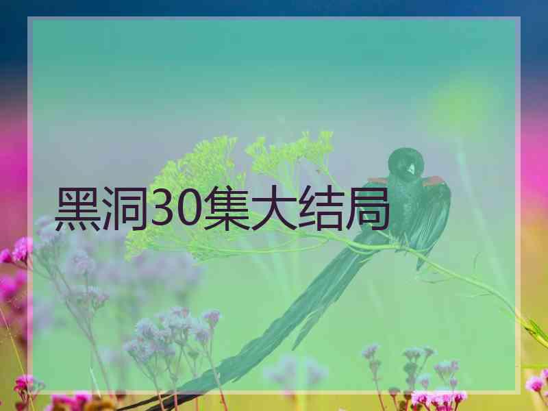 黑洞30集大结局