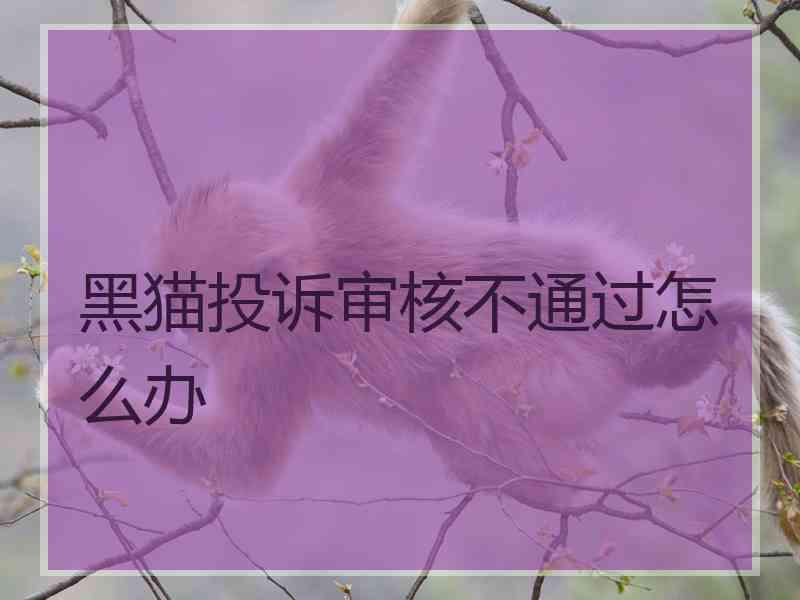 黑猫投诉审核不通过怎么办