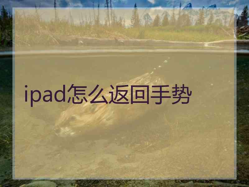 ipad怎么返回手势