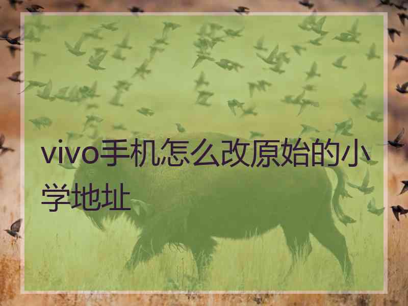 vivo手机怎么改原始的小学地址