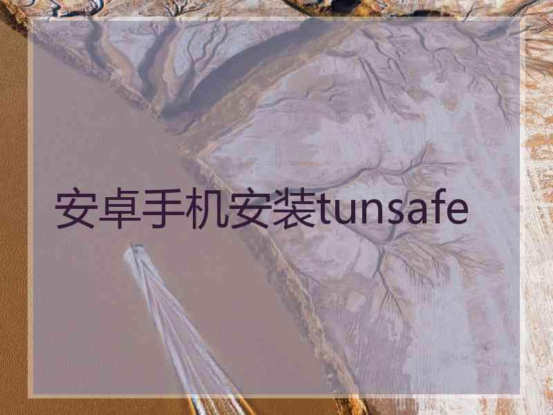 安卓手机安装tunsafe