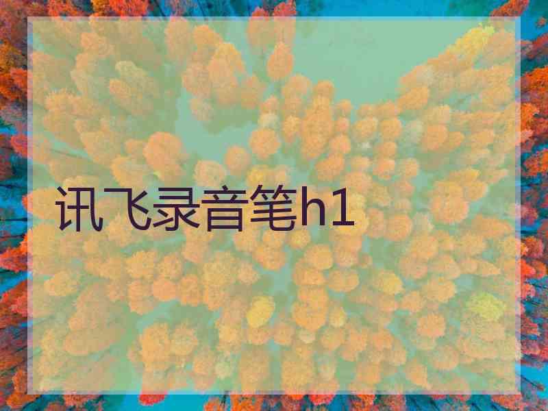 讯飞录音笔h1