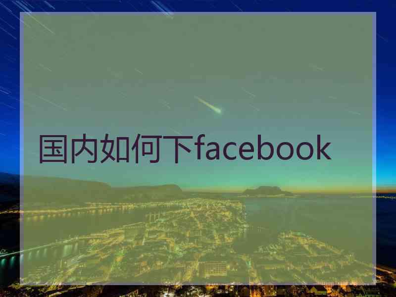 国内如何下facebook