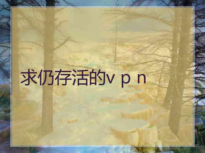 求仍存活的v p n