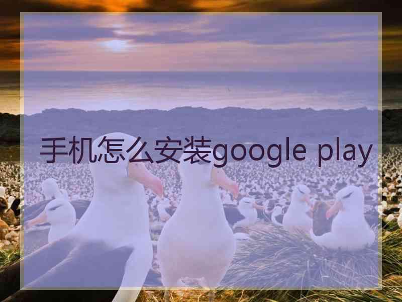 手机怎么安装google play