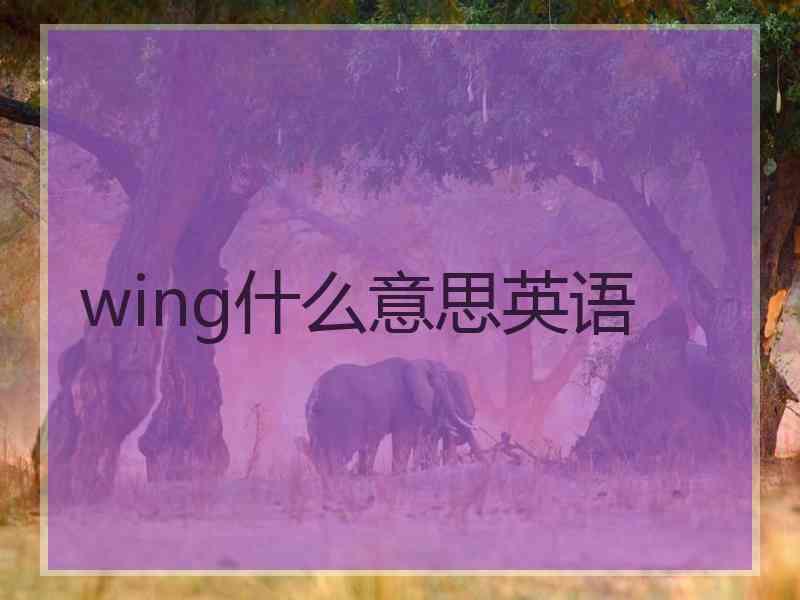 wing什么意思英语