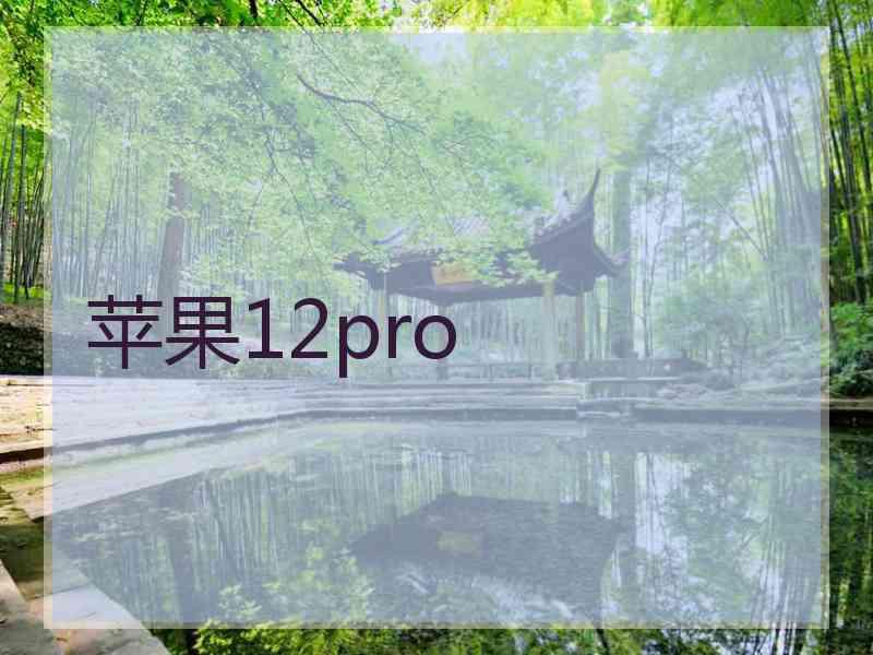 苹果12pro