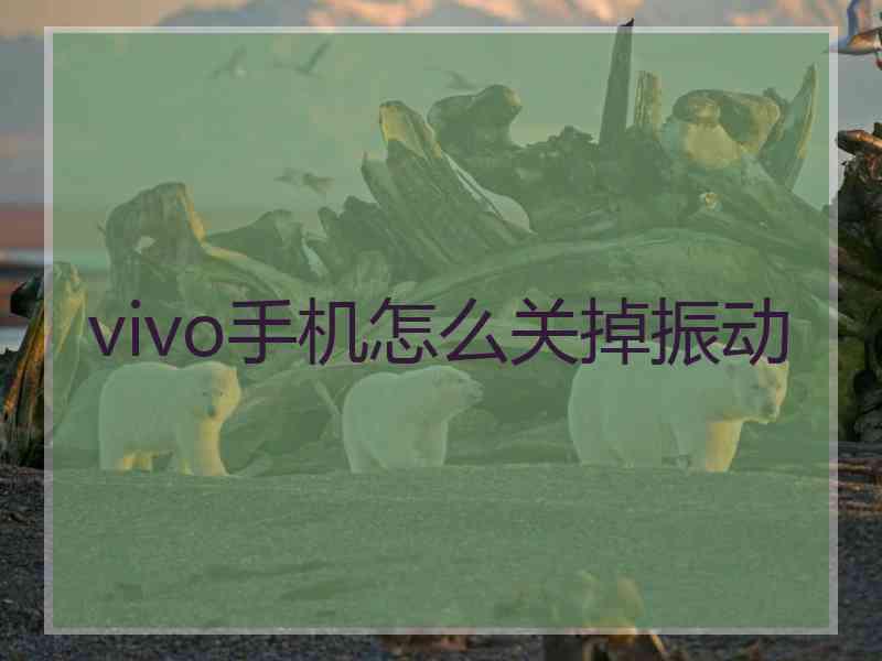 vivo手机怎么关掉振动