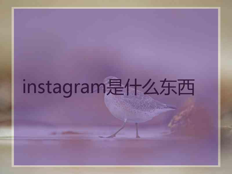 instagram是什么东西