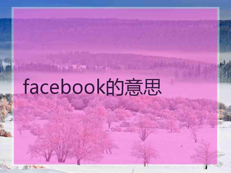 facebook的意思