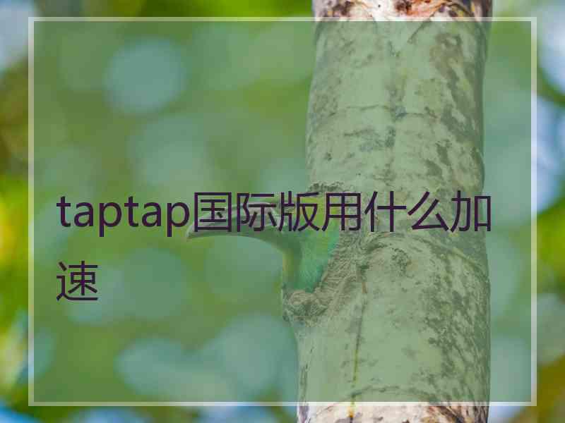 taptap国际版用什么加速