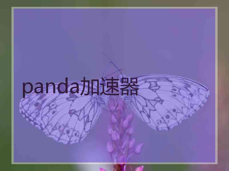 panda加速器