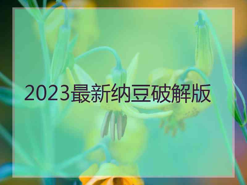 2023最新纳豆破解版